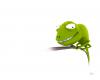 funny 3d wallpapers (19)